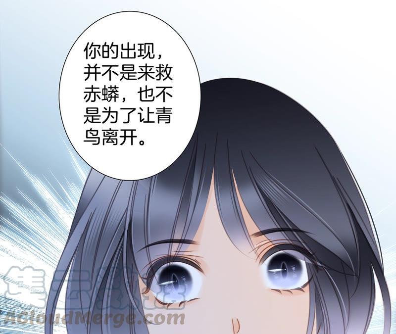 第63话 循环56