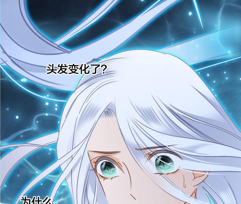 第66话 追踪3