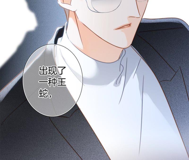 第32话 赤蟒19