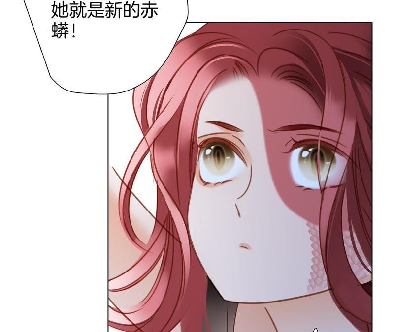 第56话 心意24