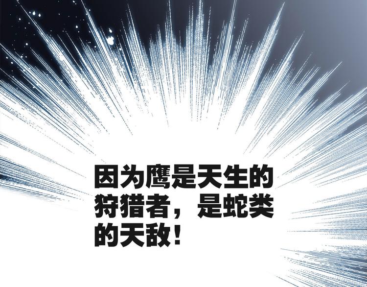 第10话 天敌13