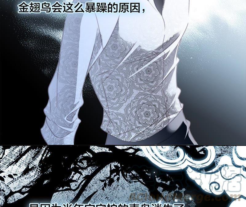 第42话 金翅鸟77