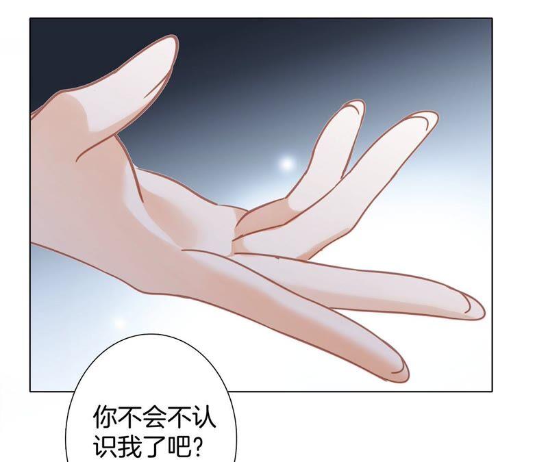 第84话 假相2