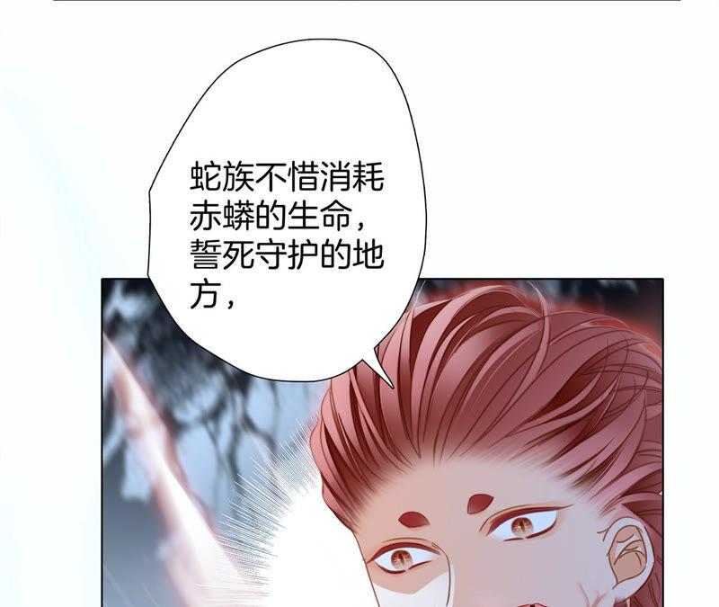 第73话 光芒38