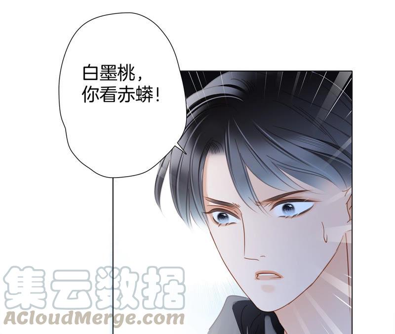 第63话 循环44