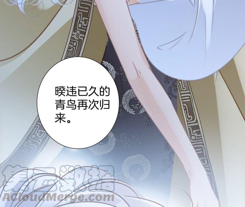第84话 假相63