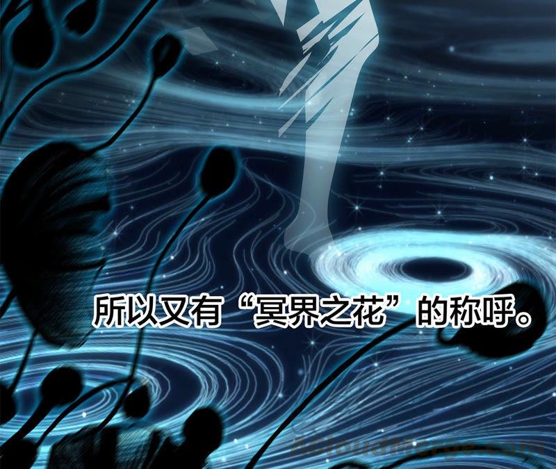 第62话 冥界之花12