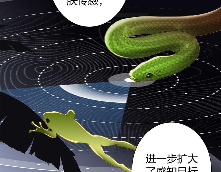 第8话 进化65