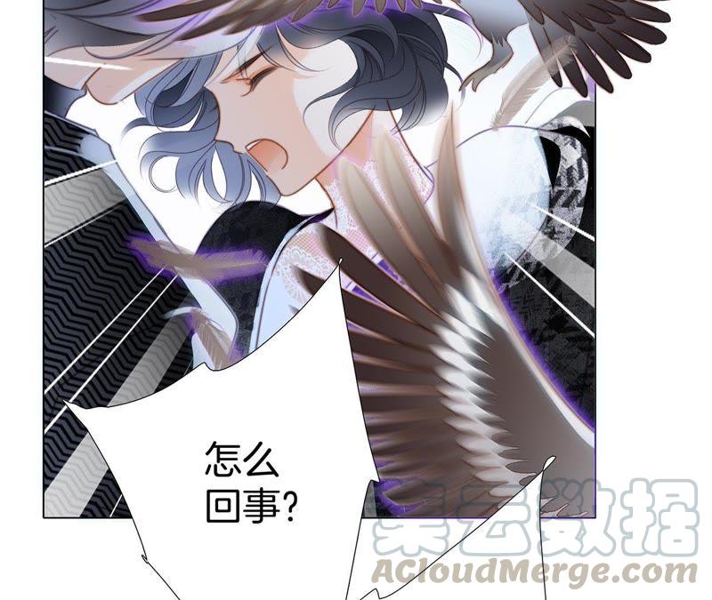 第39话 光之树40