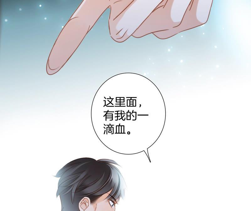 第66话 追踪61