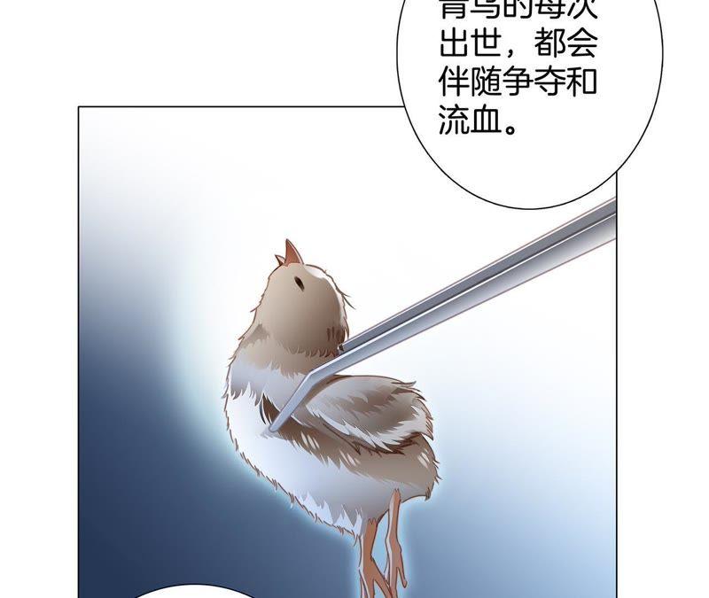 第39话 光之树81