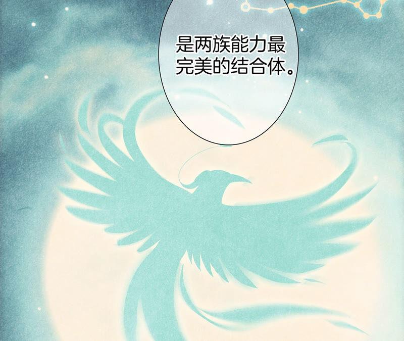 第78话 目标29