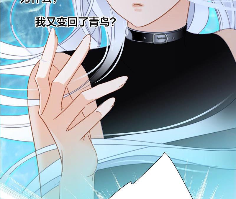 第66话 追踪4
