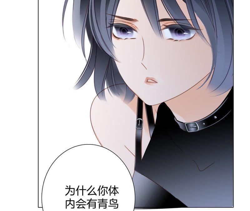 第50话 疑问45
