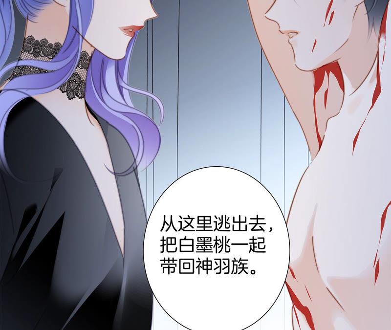 第77话 放归47
