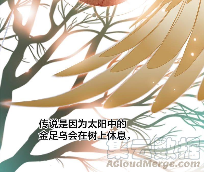 第59话 明庭（上）5