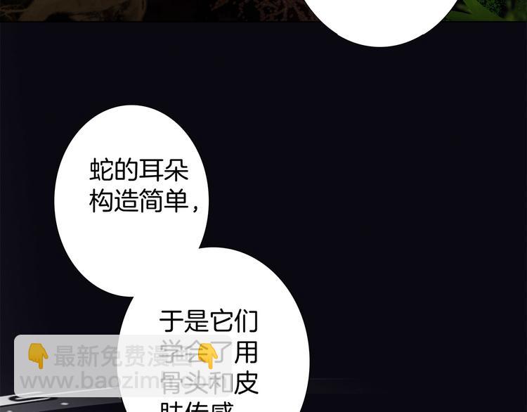 第8话 进化64
