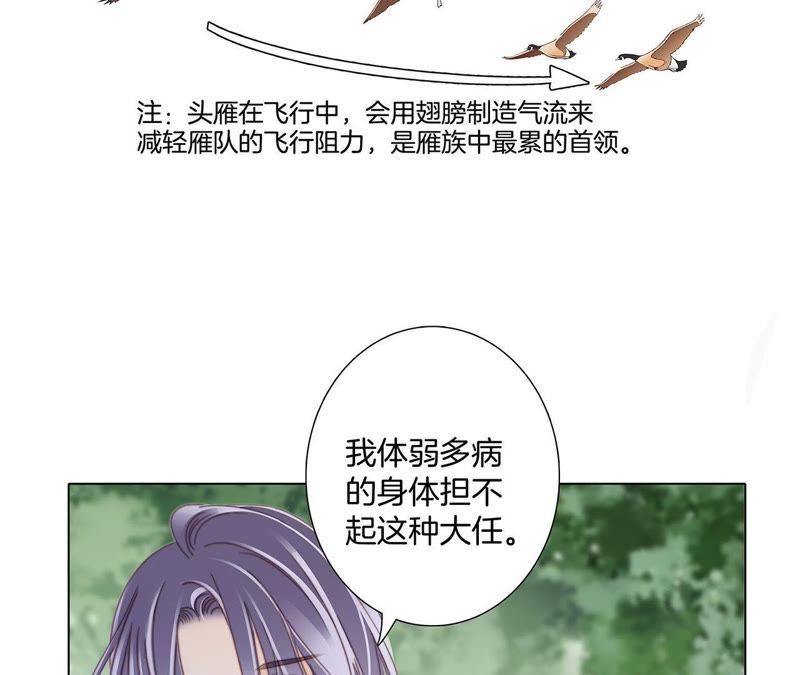第38话 引路30