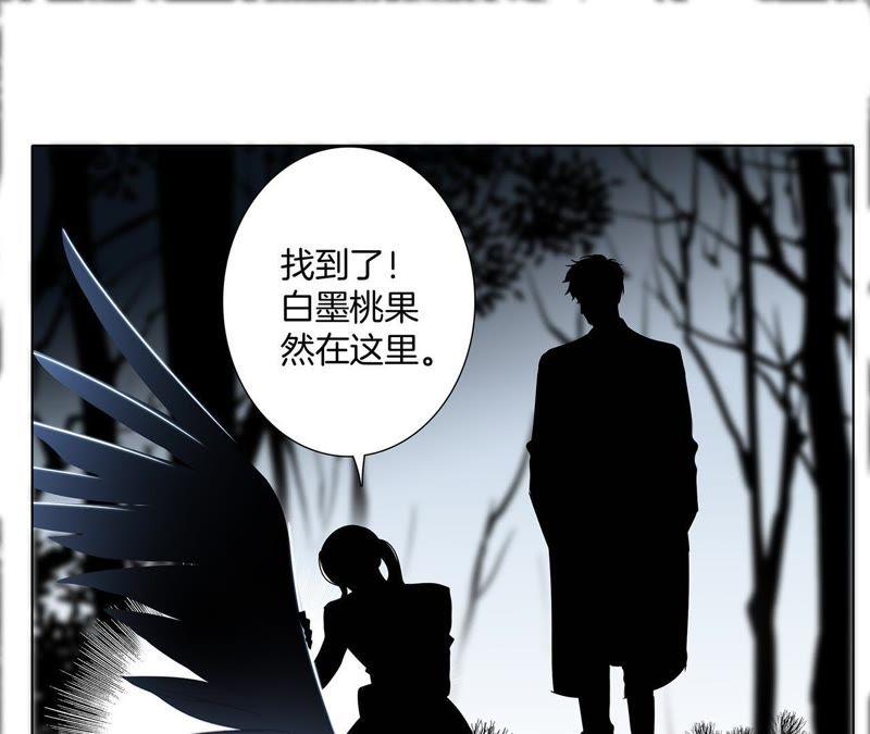 第46话 守护85