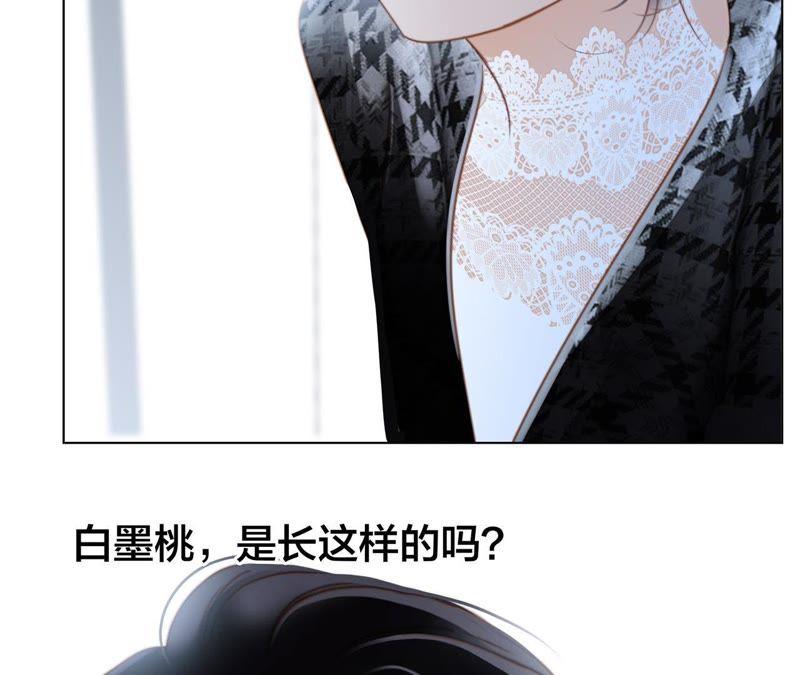 第35话 出发18