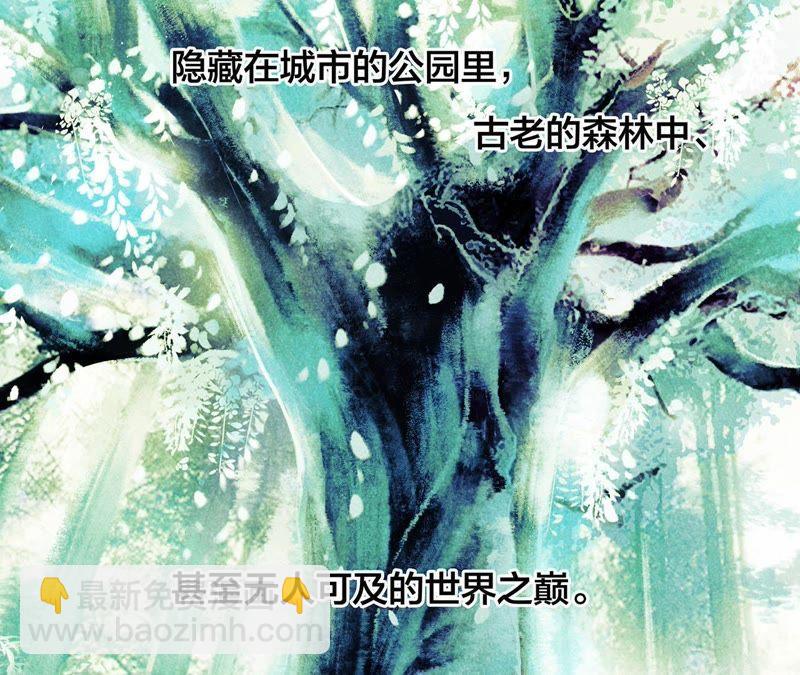 第39话 光之树9
