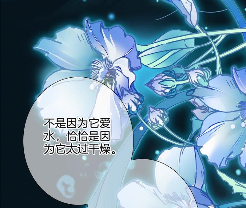 第62话 冥界之花30