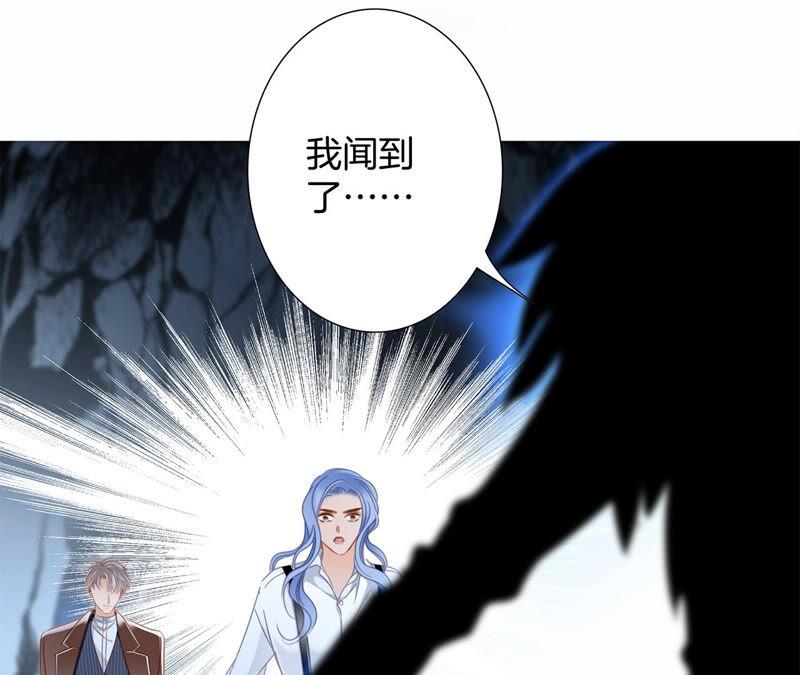 第73话 光芒15