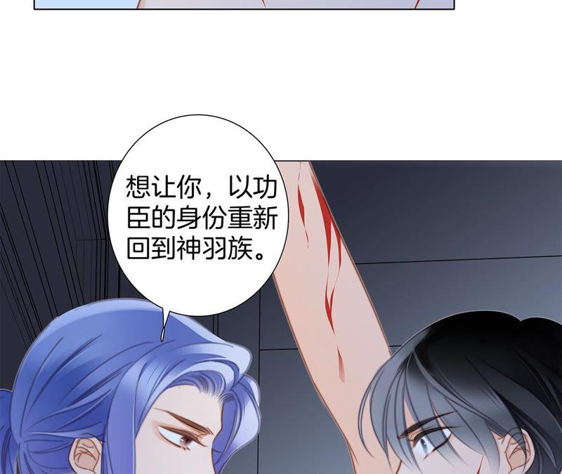 第77话 放归46