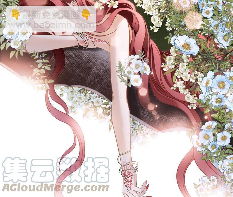 第57话 翅膀100