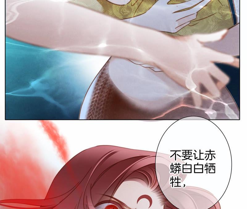 第71话 决心52