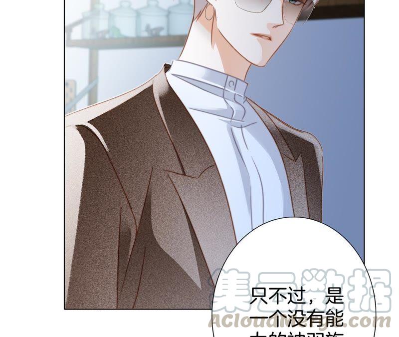第39话 光之树70