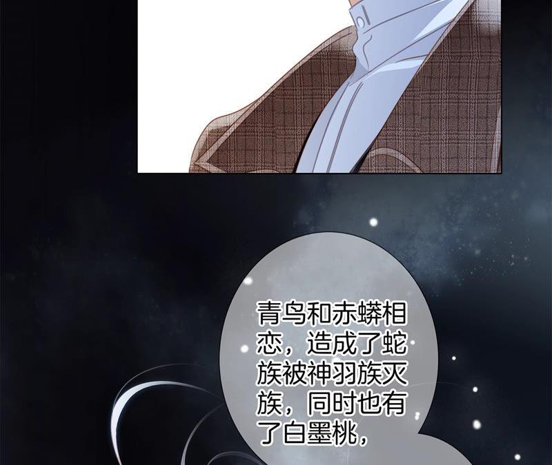 第63话 循环70