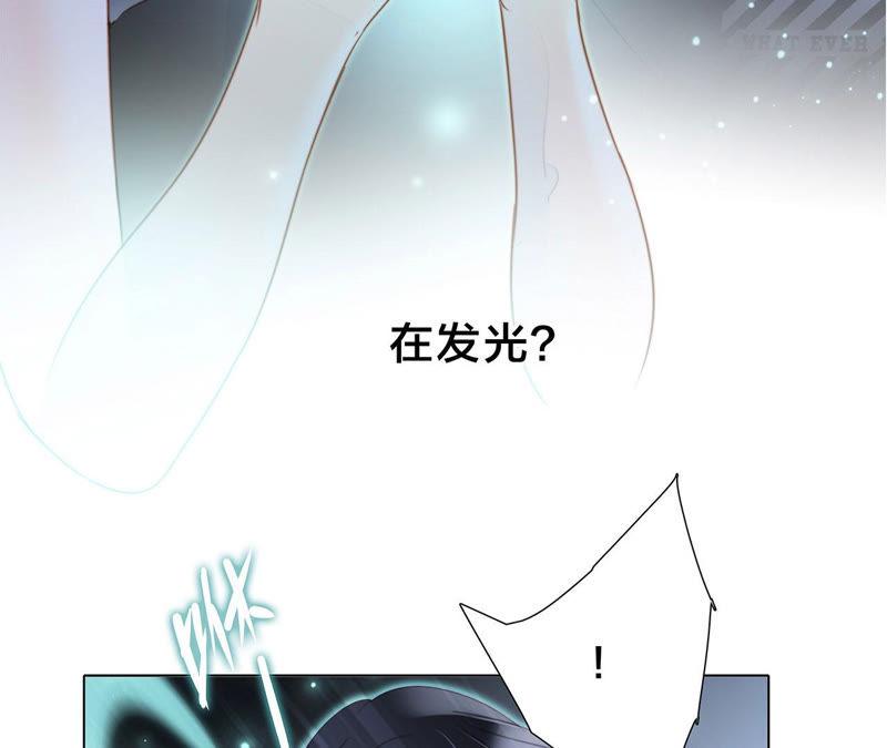 第65话 唤醒3