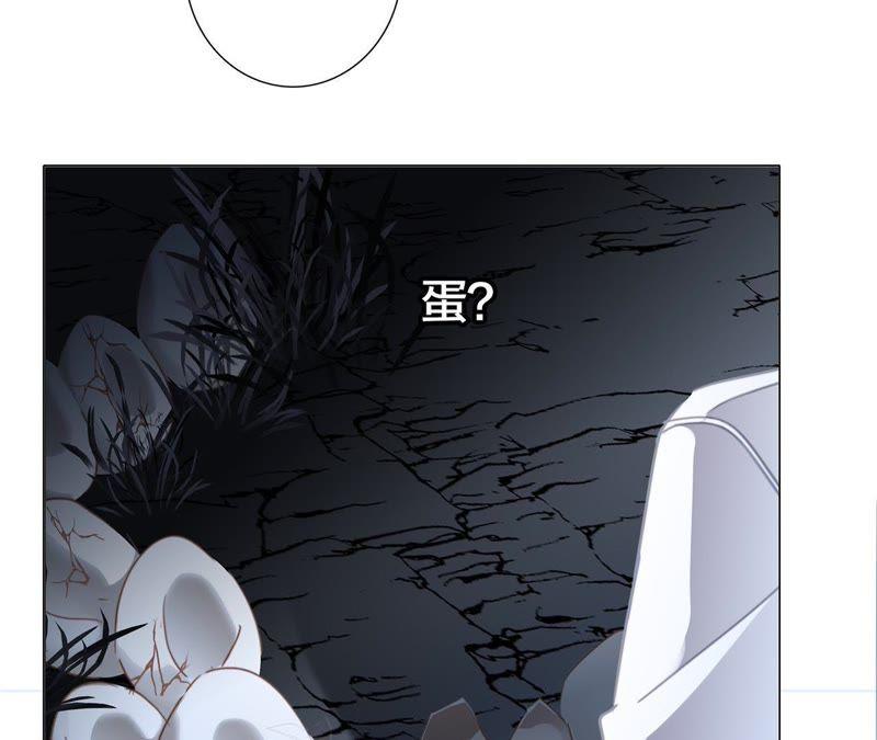 第54话 蛇冢64