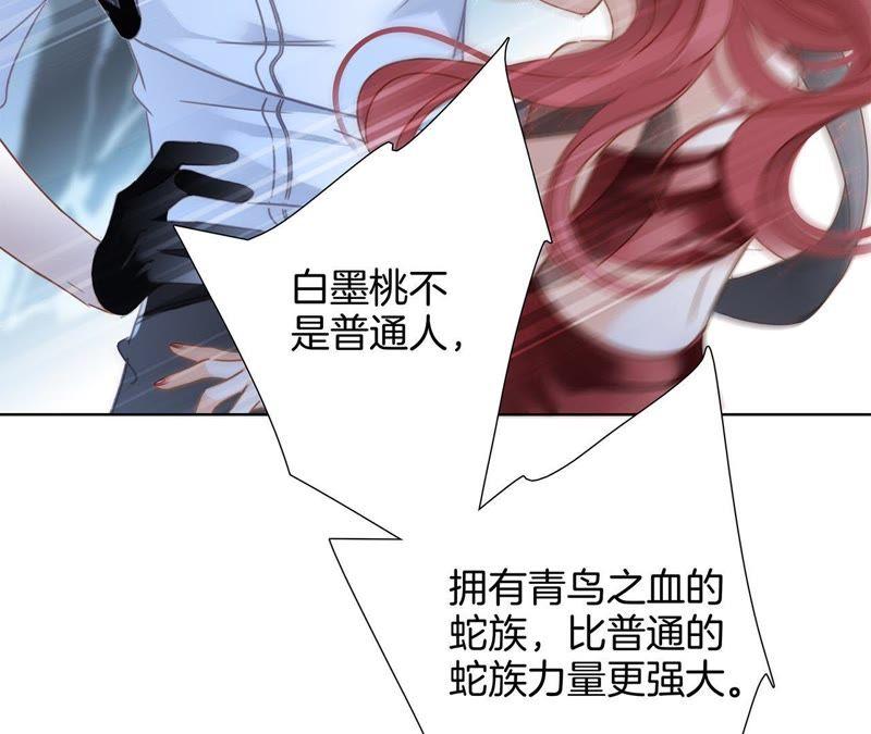 第56话 心意22