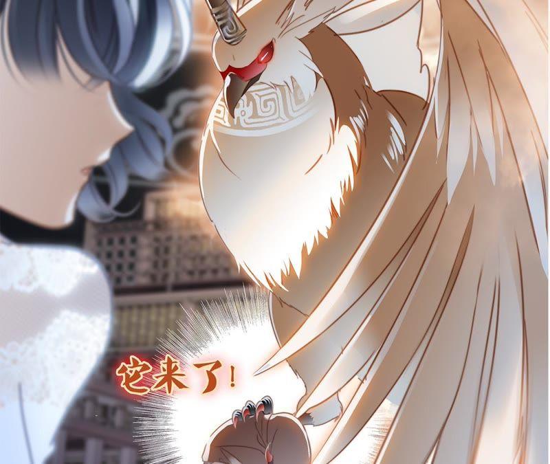 第42话 金翅鸟22