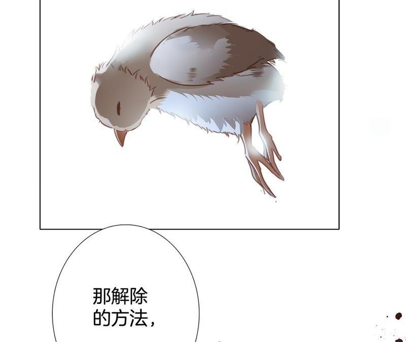 第39话 光之树86