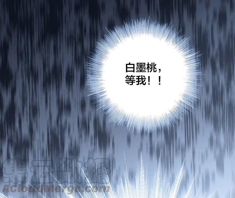 第88话 傀儡3