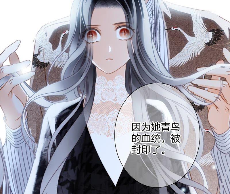 第38话 引路1