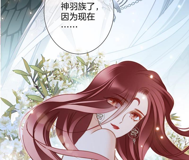 第66话 追踪42
