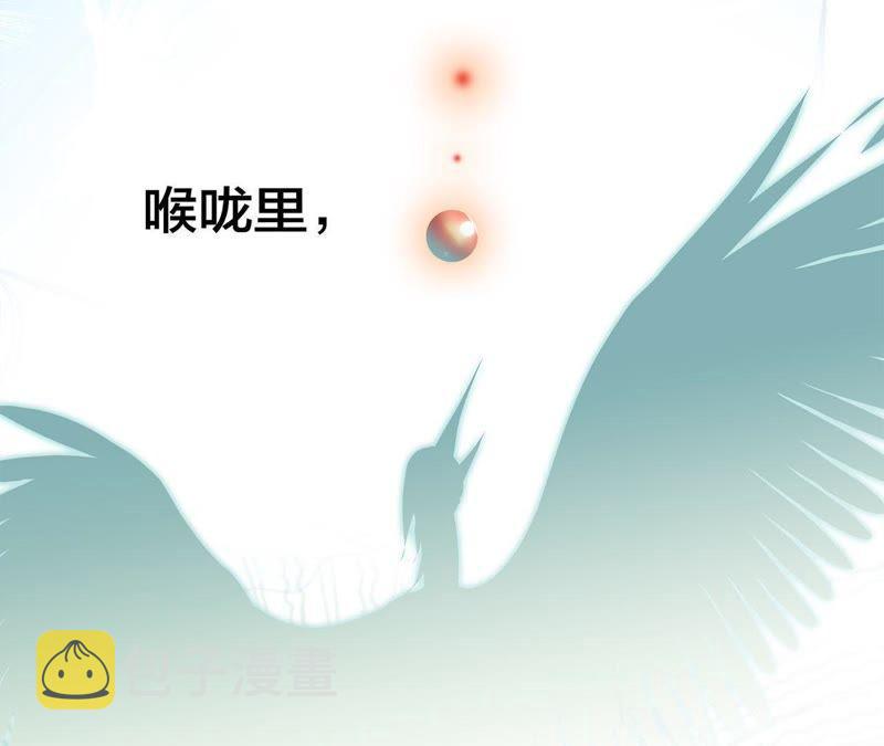 第57话 翅膀2
