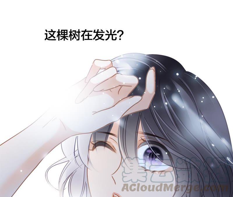 第38话 引路63