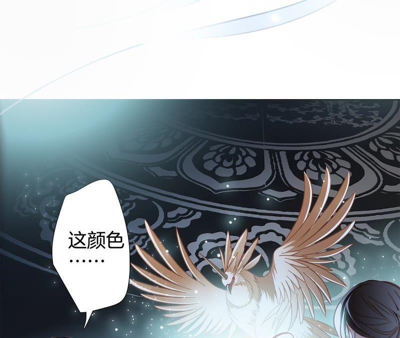 第45话 解封50