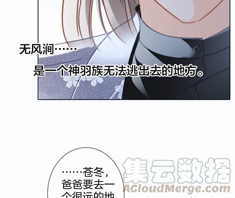 第44话 愿望30