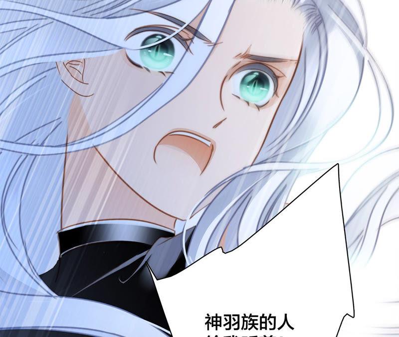 第73话 光芒71