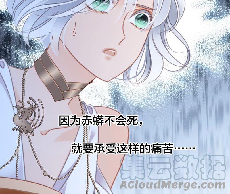 第89话 心甘情愿3