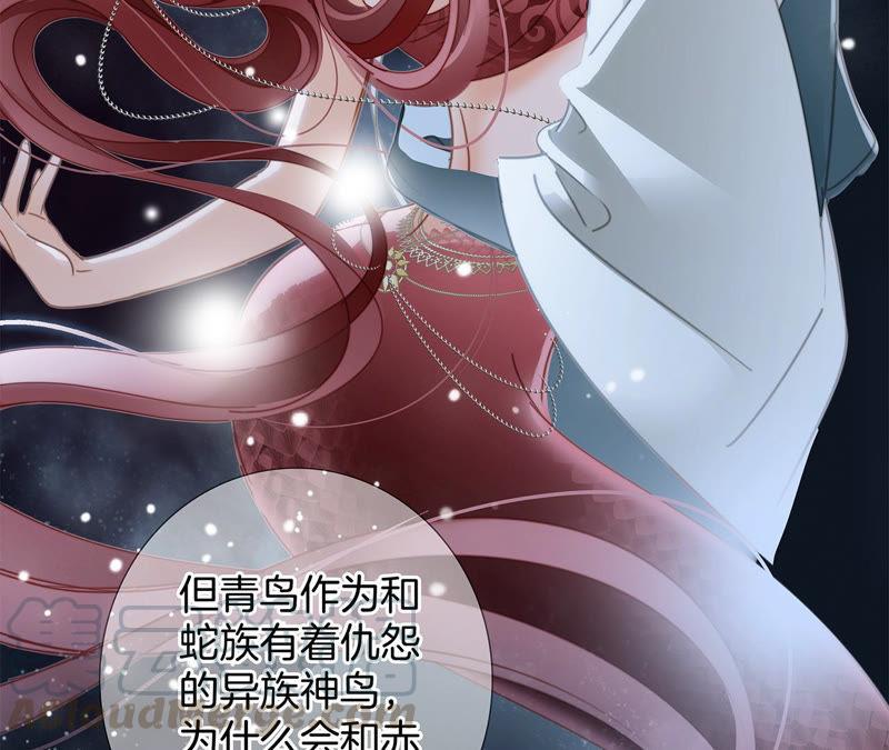 第63话 循环72