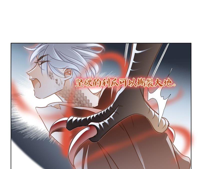 第42话 金翅鸟26