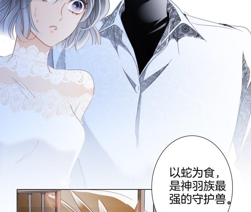 第42话 金翅鸟33