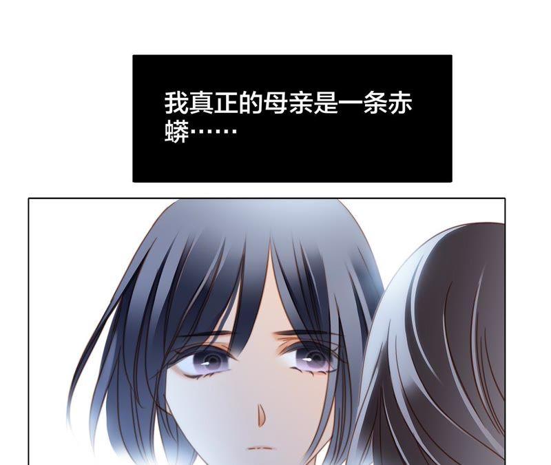 第33话 真相12
